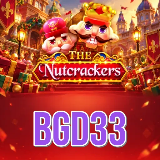 bgd33 Install FAQ